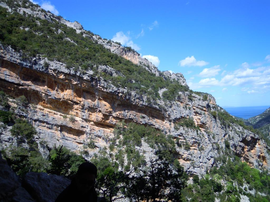 Apartment Verde Santa Maria Navarrese Dış mekan fotoğraf