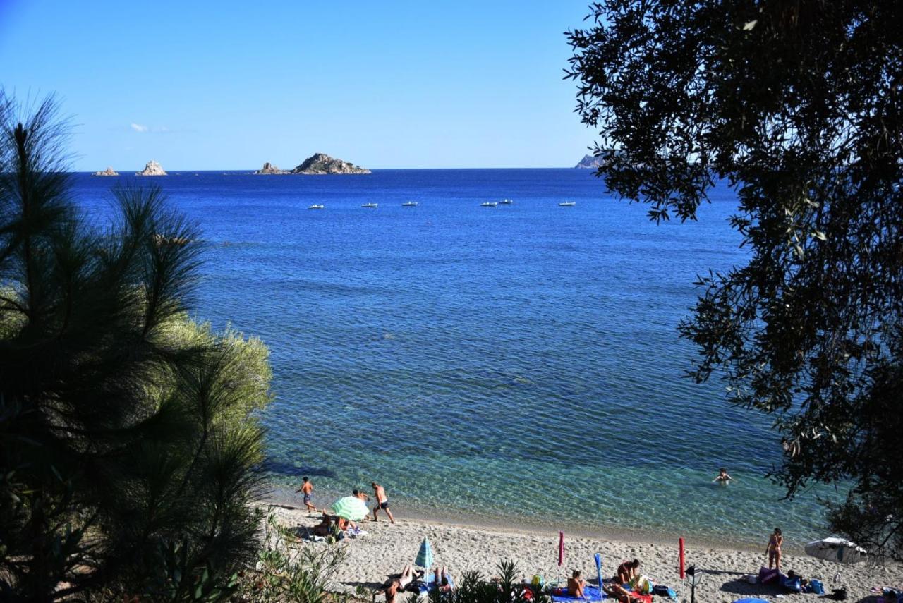 Apartment Verde Santa Maria Navarrese Dış mekan fotoğraf